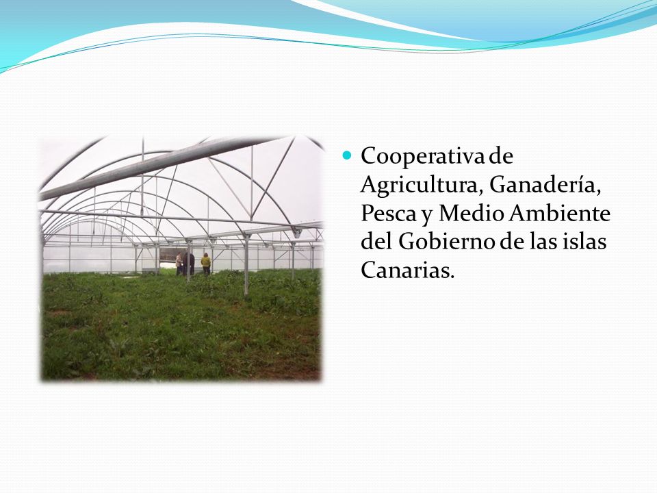 Cooperativa de Agricultura, Ganadería, Pesca y Medio Ambiente del Gobierno de las islas Canarias.
