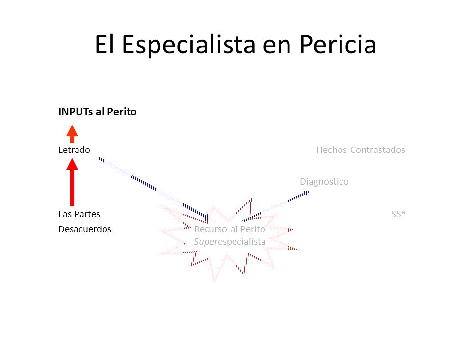 El Especialista en Pericia