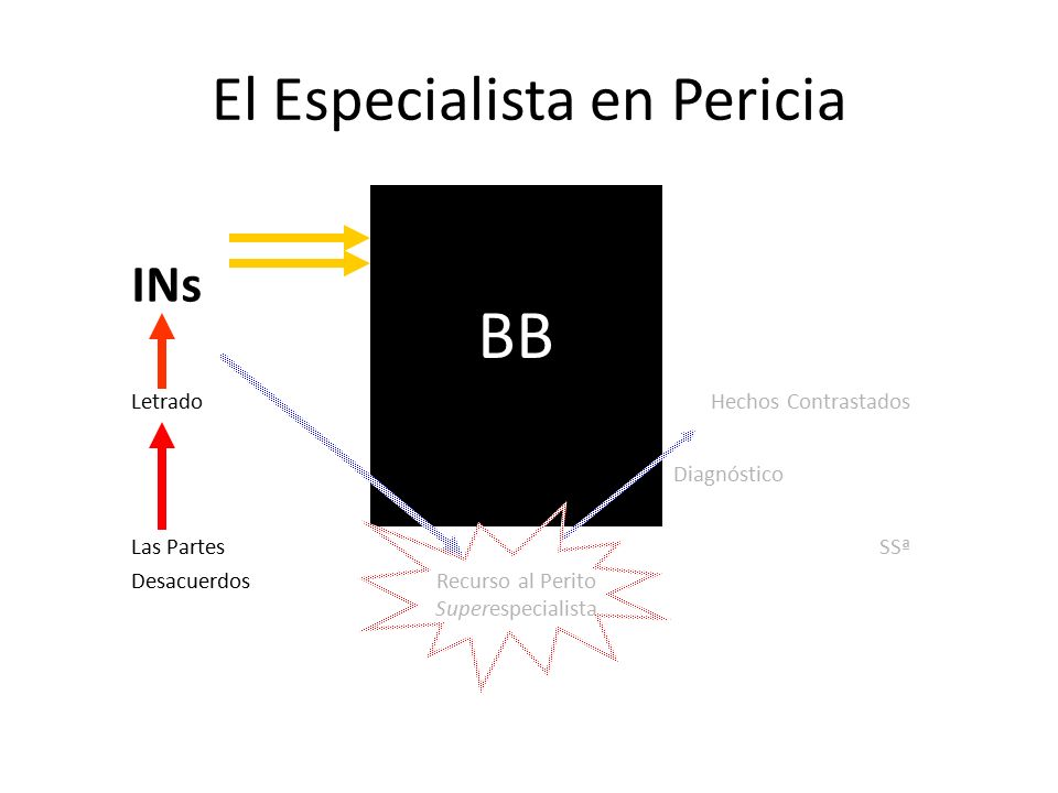 El Especialista en Pericia