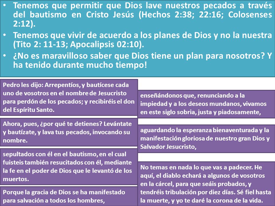 Tenemos que permitir que Dios lave nuestros pecados a través del bautismo en Cristo Jesús (Hechos 2:38; 22:16; Colosenses 2:12).