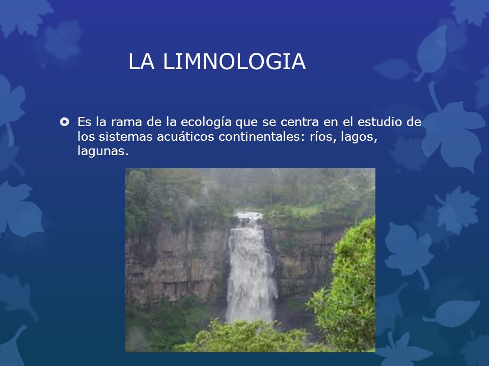 LA LIMNOLOGIA Es la rama de la ecología que se centra en el estudio de los sistemas acuáticos continentales: ríos, lagos, lagunas.