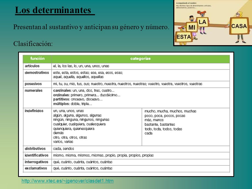 Los determinantes Presentan al sustantivo y anticipan su género y número.