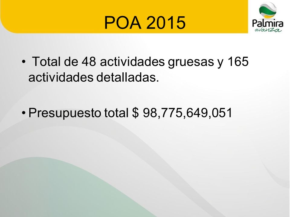 POA 2015 Total de 48 actividades gruesas y 165 actividades detalladas.