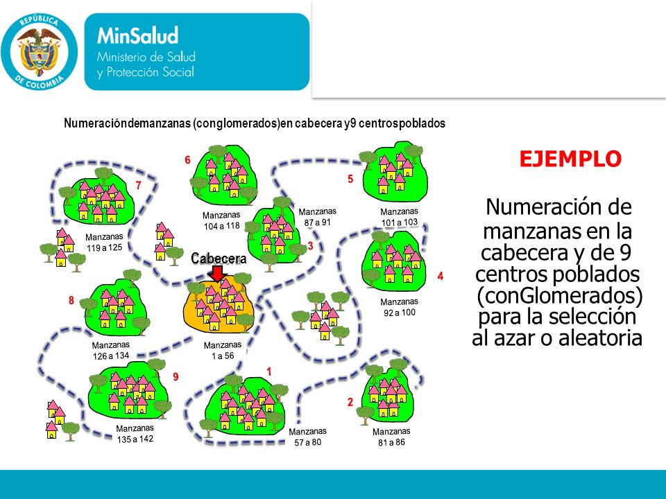 al azar o aleatoria Ministerio de la Protección Social
