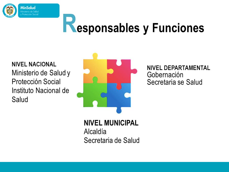 Ministerio de Salud y Protección Social Instituto Nacional de Salud