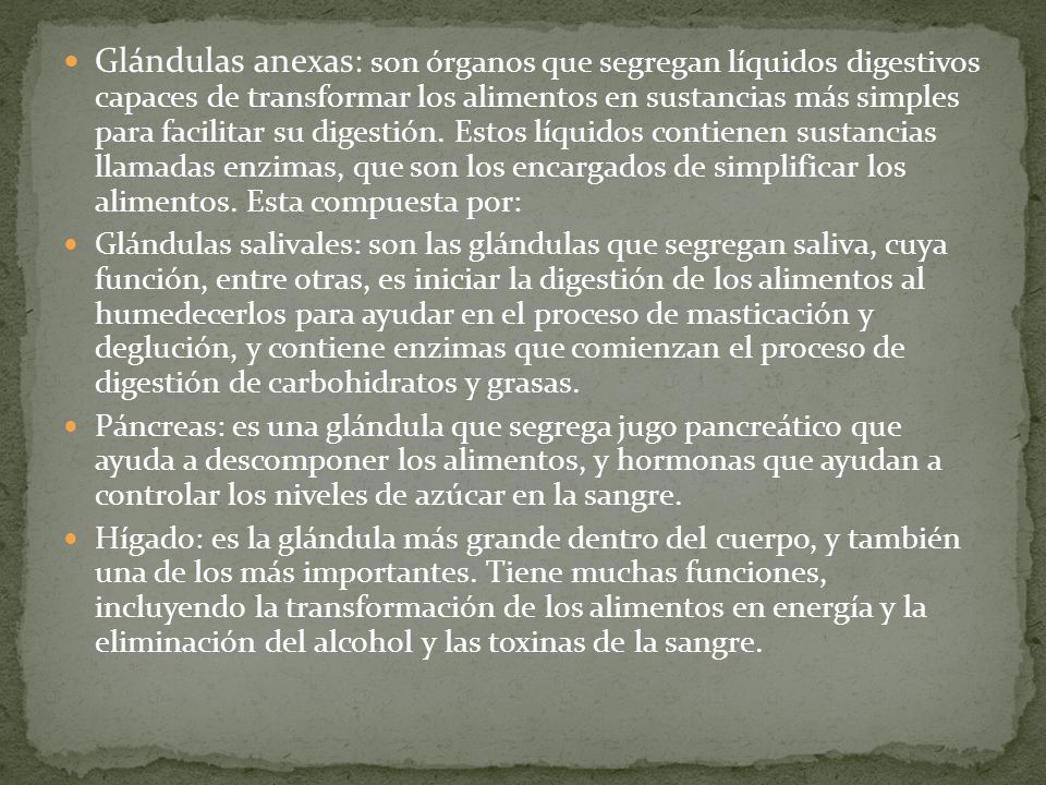 Glándulas anexas: son órganos que segregan líquidos digestivos capaces de transformar los alimentos en sustancias más simples para facilitar su digestión. Estos líquidos contienen sustancias llamadas enzimas, que son los encargados de simplificar los alimentos. Esta compuesta por:
