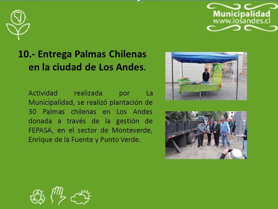 10.- Entrega Palmas Chilenas en la ciudad de Los Andes.