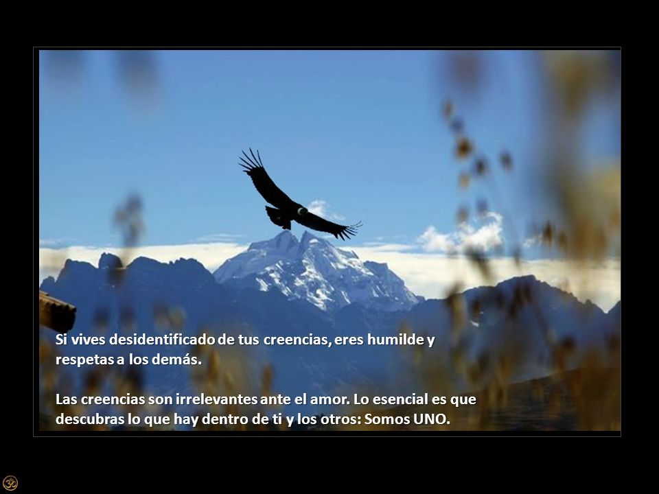 Si vives desidentificado de tus creencias, eres humilde y respetas a los demás.