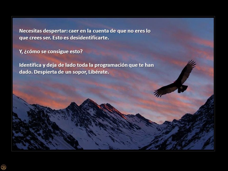Necesitas despertar: caer en la cuenta de que no eres lo que crees ser