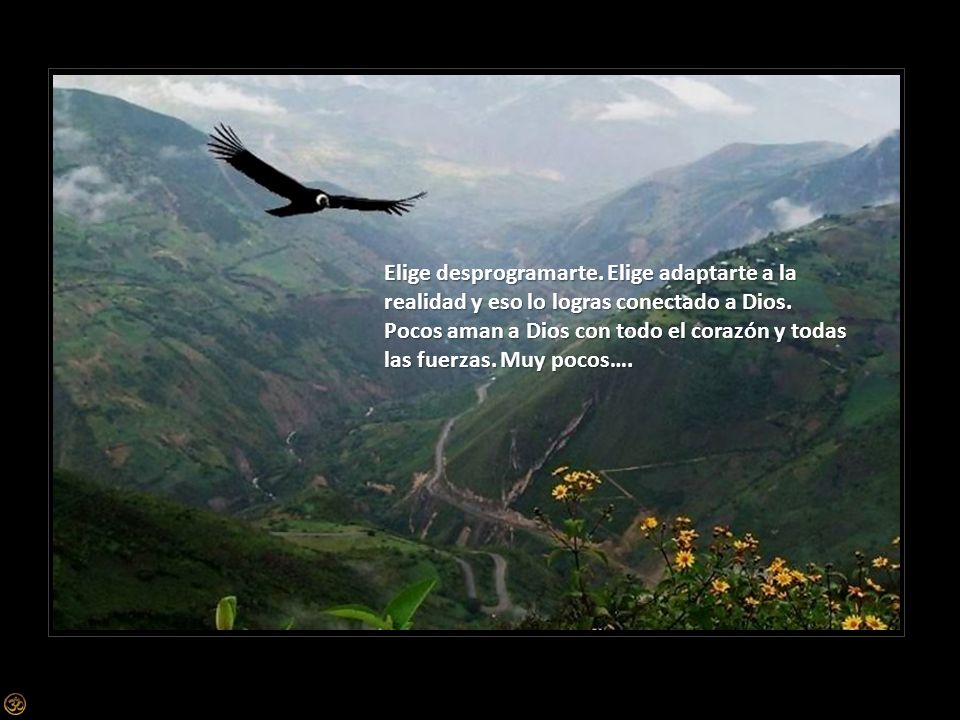 Elige desprogramarte. Elige adaptarte a la realidad y eso lo logras conectado a Dios.