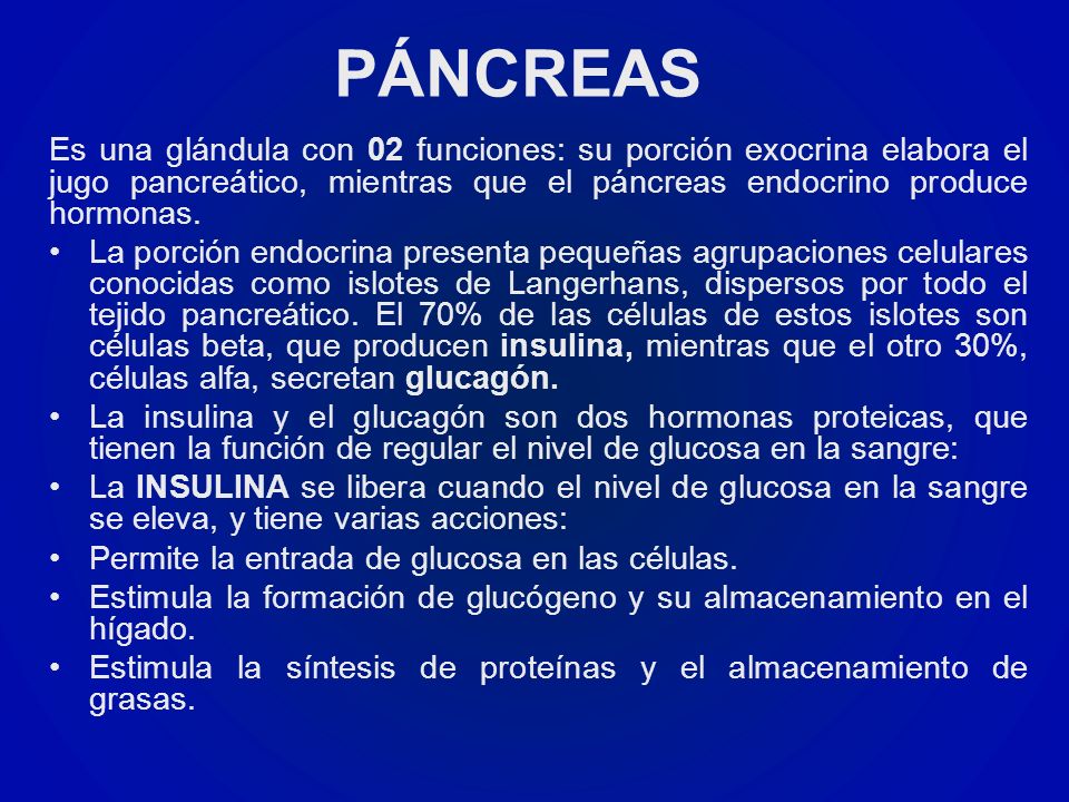 PÁNCREAS Es una glándula con 02 funciones: su porción exocrina elabora el jugo pancreático, mientras que el páncreas endocrino produce hormonas.