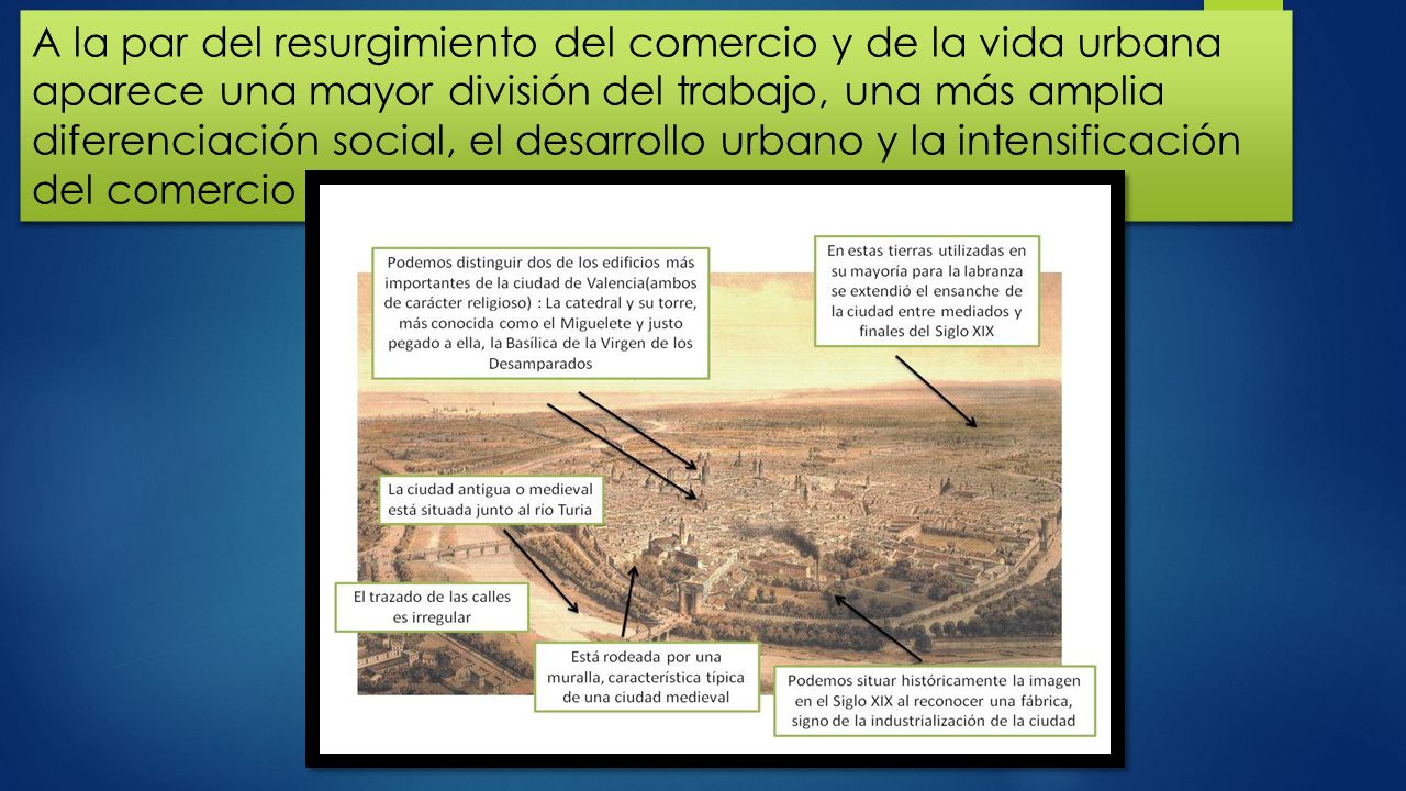 A la par del resurgimiento del comercio y de la vida urbana aparece una mayor división del trabajo, una más amplia diferenciación social, el desarrollo urbano y la intensificación del comercio