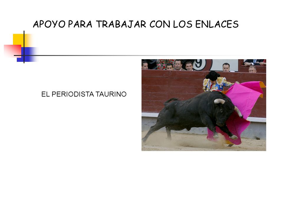 APOYO PARA TRABAJAR CON LOS ENLACES