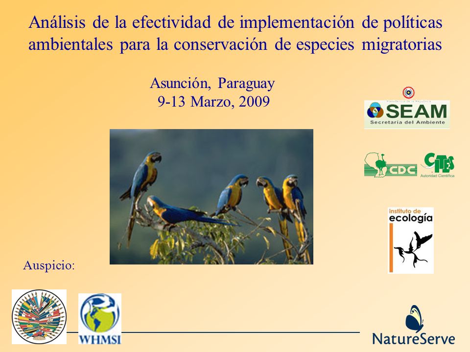 Análisis de la efectividad de implementación de políticas ambientales para la conservación de especies migratorias Asunción, Paraguay 9-13 Marzo, 2009