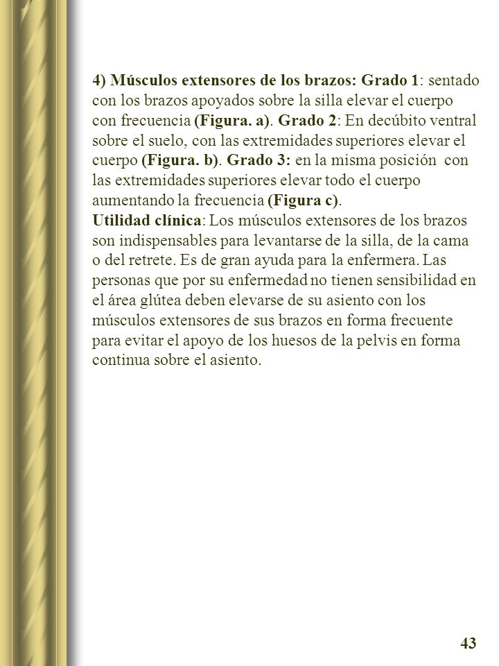 4) Músculos extensores de los brazos: Grado 1: sentado con los brazos apoyados sobre la silla elevar el cuerpo con frecuencia (Figura. a). Grado 2: En decúbito ventral sobre el suelo, con las extremidades superiores elevar el cuerpo (Figura. b). Grado 3: en la misma posición con las extremidades superiores elevar todo el cuerpo aumentando la frecuencia (Figura c).