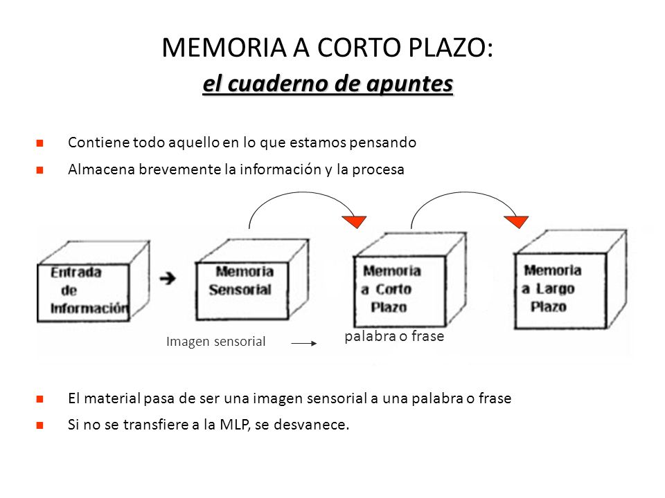 MEMORIA A CORTO PLAZO: el cuaderno de apuntes