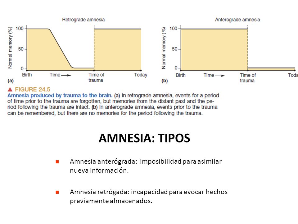 AMNESIA: TIPOS Amnesia anterógrada: imposibilidad para asimilar nueva información.