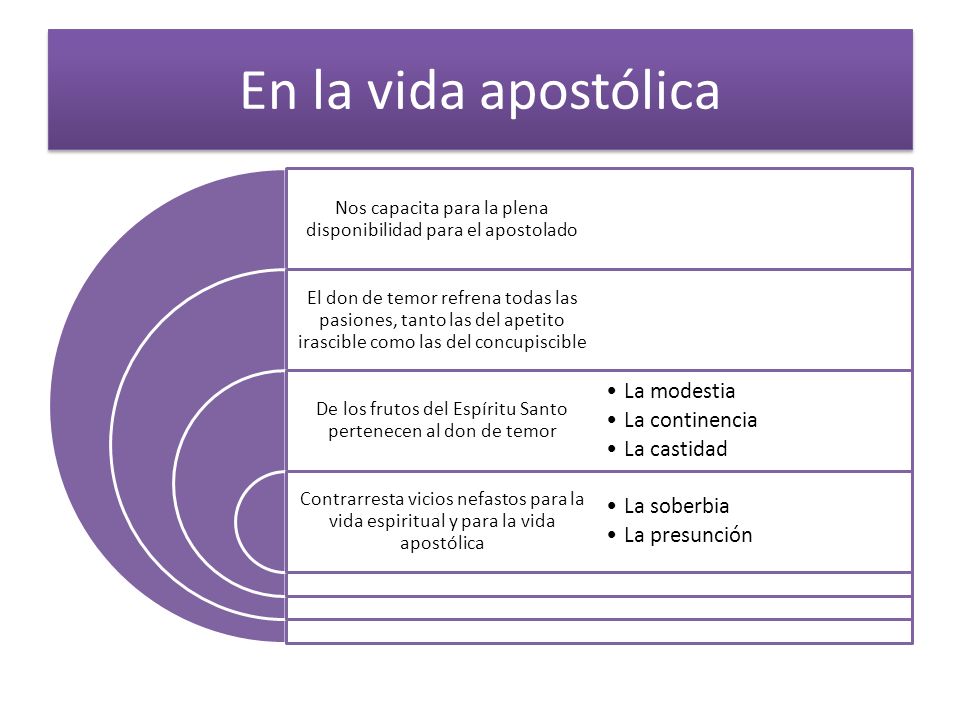 En la vida apostólica La modestia La continencia La castidad