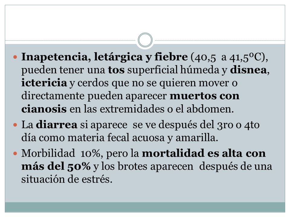 Inapetencia, letárgica y fiebre (40,5 a 41,5ºC), pueden tener una tos superficial húmeda y disnea, ictericia y cerdos que no se quieren mover o directamente pueden aparecer muertos con cianosis en las extremidades o el abdomen.
