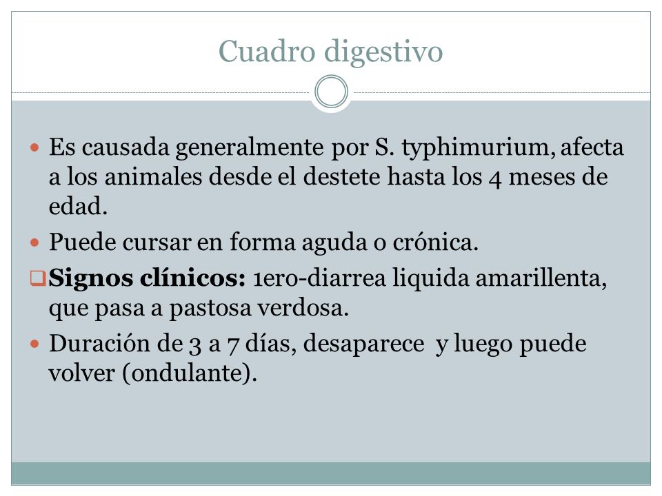Cuadro digestivo Es causada generalmente por S. typhimurium, afecta a los animales desde el destete hasta los 4 meses de edad.