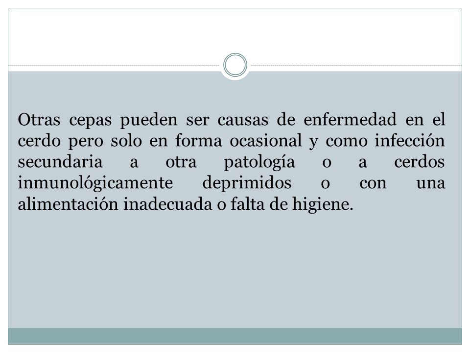 Otras cepas pueden ser causas de enfermedad en el cerdo pero solo en forma ocasional y como infección secundaria a otra patología o a cerdos inmunológicamente deprimidos o con una alimentación inadecuada o falta de higiene.