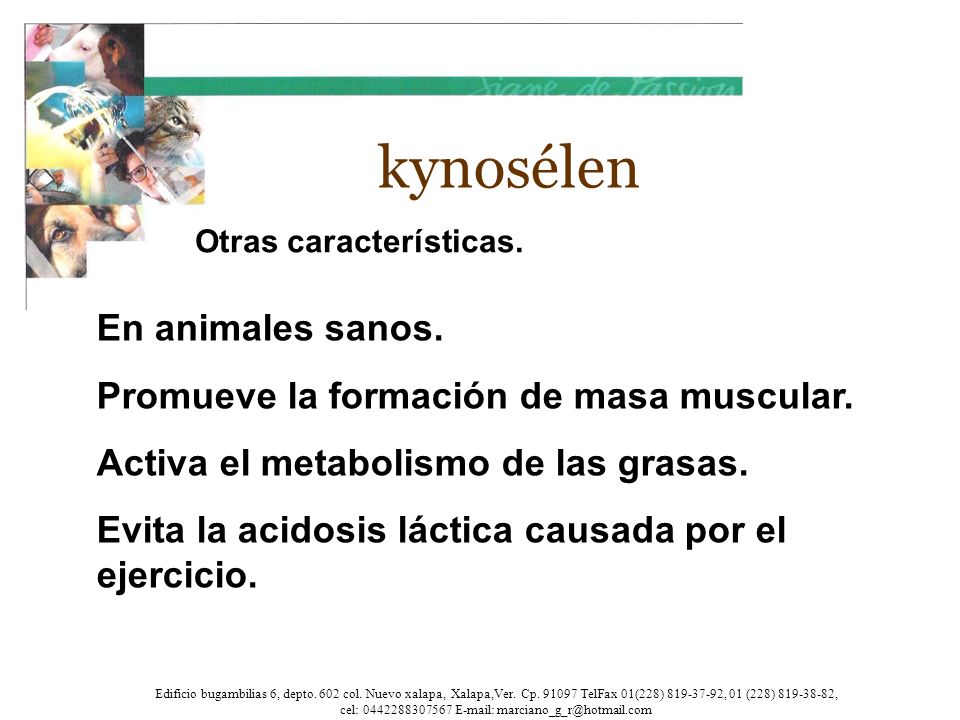 kynosélen En animales sanos. Promueve la formación de masa muscular.