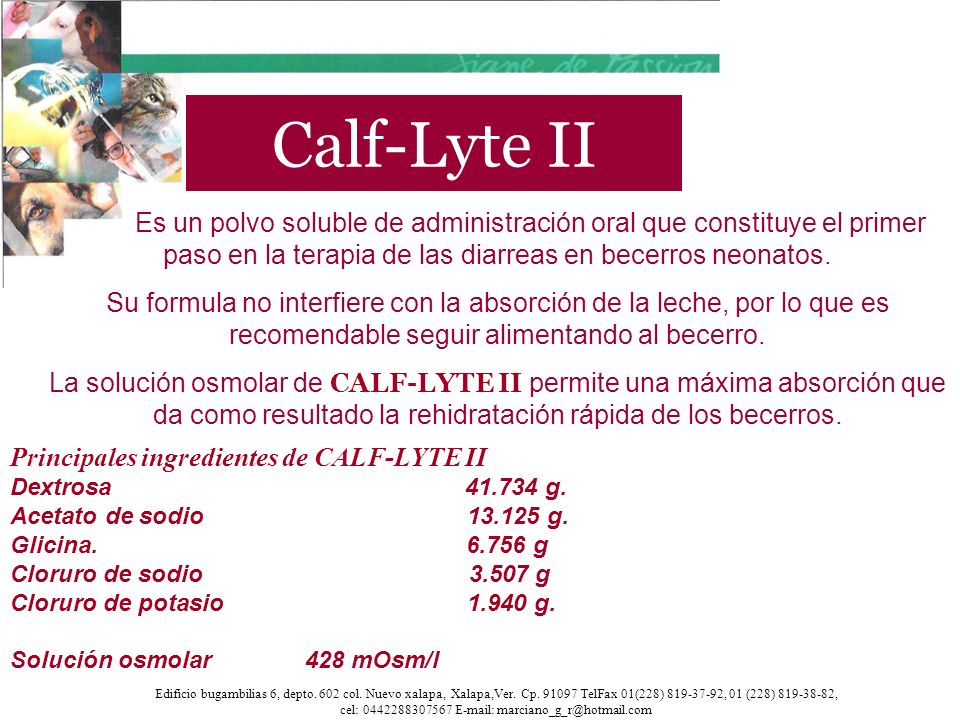 Calf-Lyte II Es un polvo soluble de administración oral que constituye el primer paso en la terapia de las diarreas en becerros neonatos.