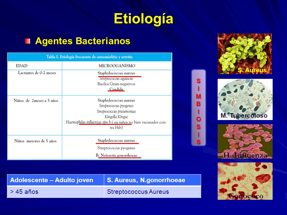 Etiología Agentes Bacterianos H. Influenza Gonococo S. Aureus S I M B