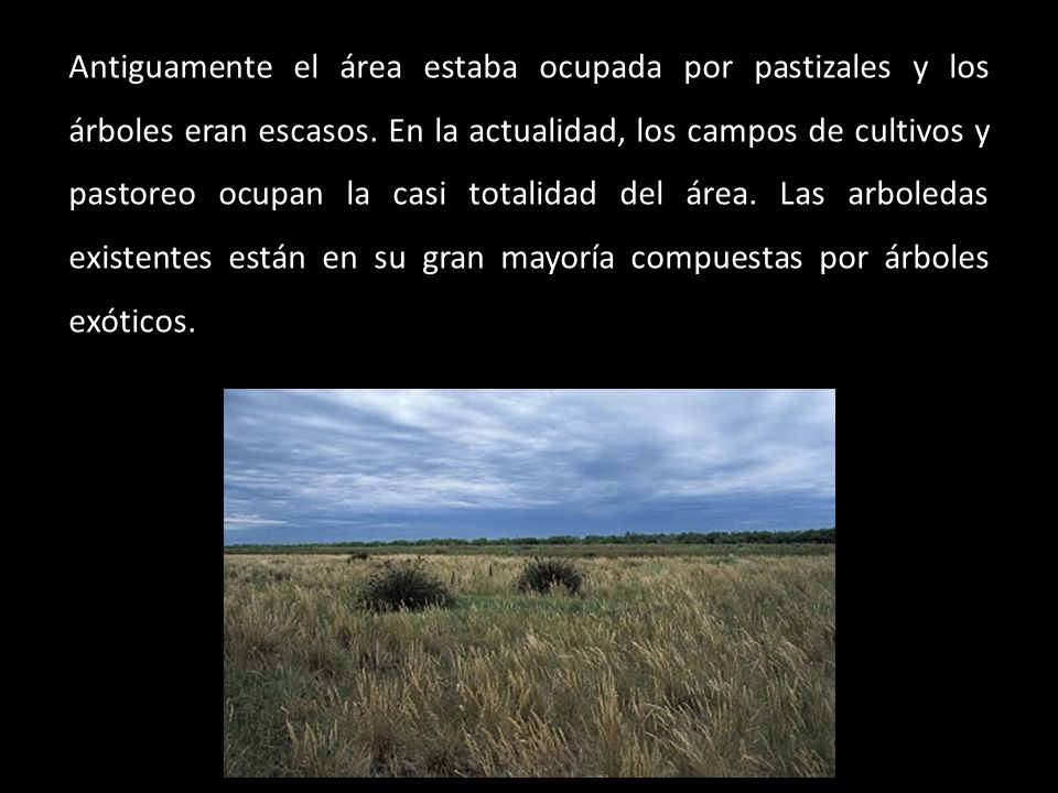 Antiguamente el área estaba ocupada por pastizales y los árboles eran escasos. En la actualidad, los campos de cultivos y pastoreo ocupan la casi totalidad del área. Las arboledas existentes están en su gran mayoría compuestas por árboles exóticos.