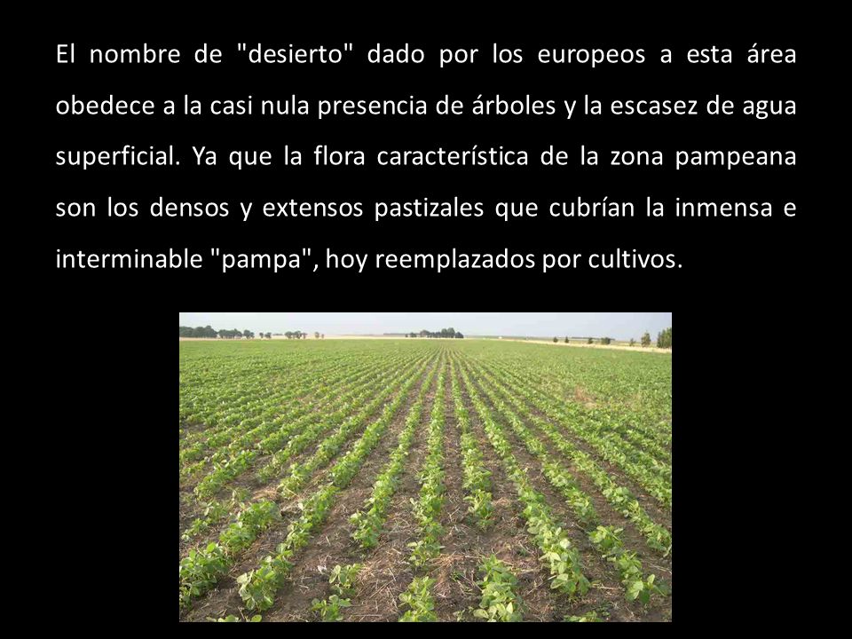 El nombre de desierto dado por los europeos a esta área obedece a la casi nula presencia de árboles y la escasez de agua superficial.