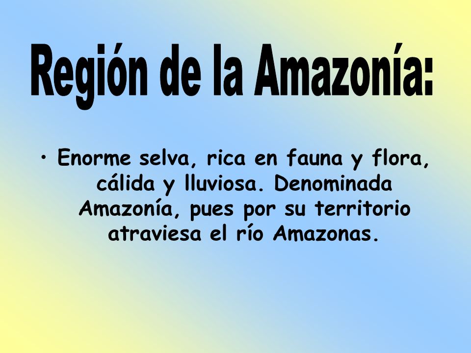 Región de la Amazonía: Enorme selva, rica en fauna y flora, cálida y lluviosa.