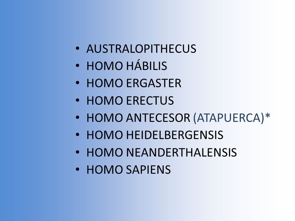 AUSTRALOPITHECUS HOMO HÁBILIS. HOMO ERGASTER. HOMO ERECTUS. HOMO ANTECESOR (ATAPUERCA)* HOMO HEIDELBERGENSIS.