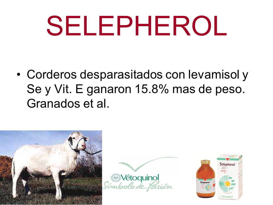 SELEPHEROL Corderos desparasitados con levamisol y Se y Vit.