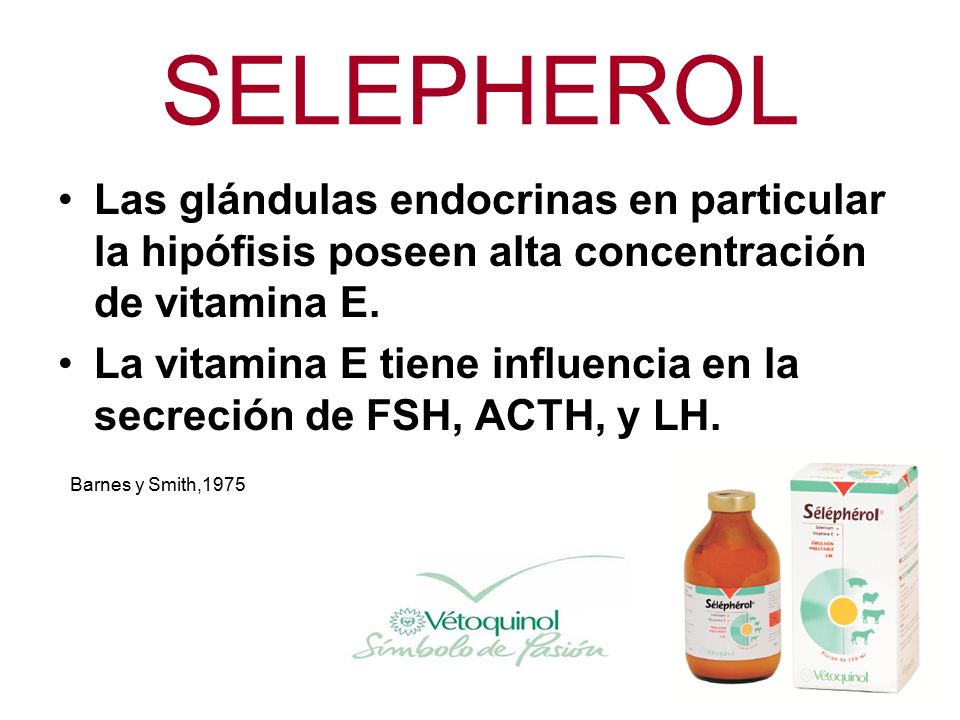SELEPHEROL Las glándulas endocrinas en particular la hipófisis poseen alta concentración de vitamina E.