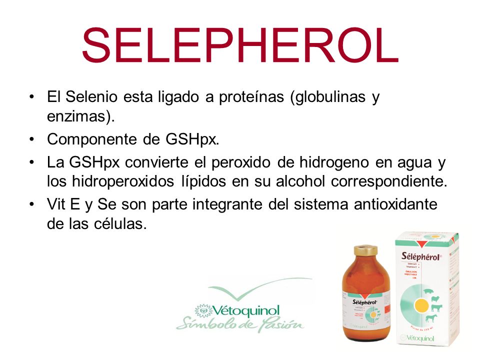 SELEPHEROL El Selenio esta ligado a proteínas (globulinas y enzimas).