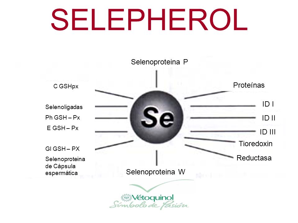 SELEPHEROL Selenoproteina P Proteínas ID I ID II ID III Tioredoxin