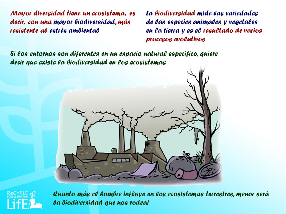 Mayor diversidad tiene un ecosistema, es decir, con una mayor biodiversidad, más resistente al estrés ambiental