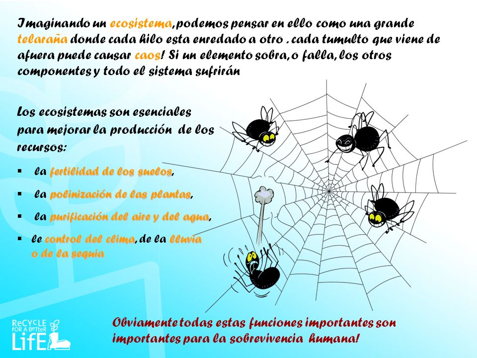 Imaginando un ecosistema, podemos pensar en ello como una grande telaraña donde cada hilo esta enredado a otro . cada tumulto que viene de afuera puede causar caos! Si un elemento sobra, o falla, los otros componentes y todo el sistema sufrirán