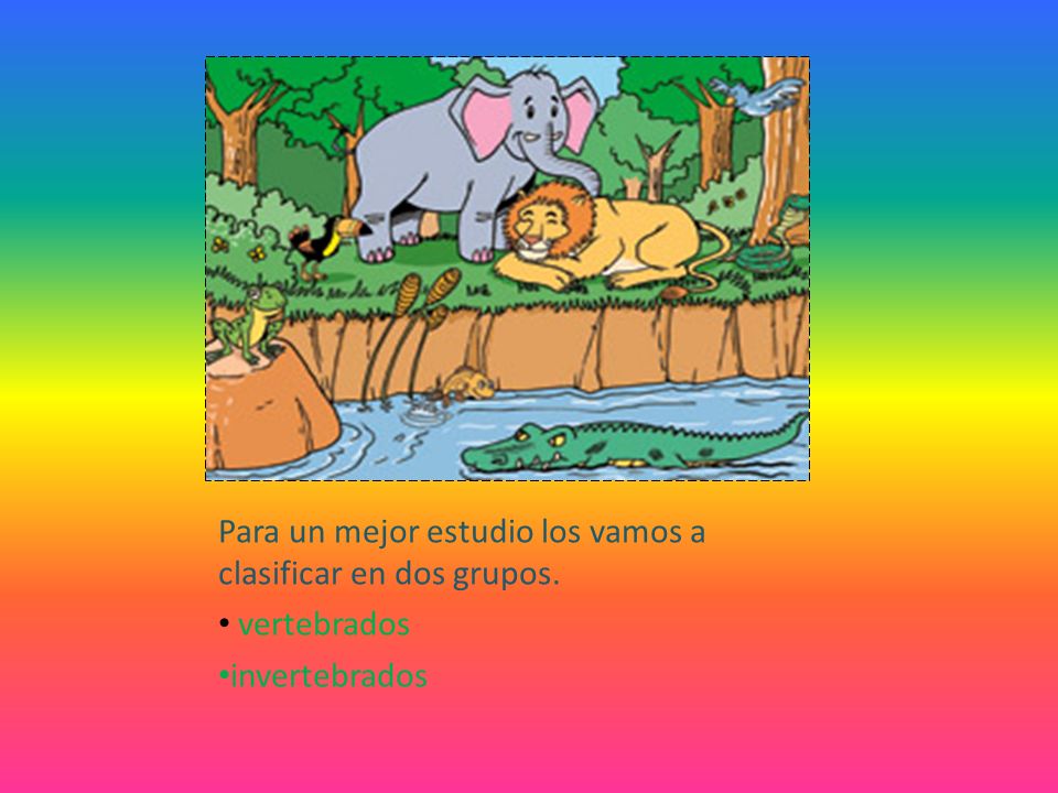Para un mejor estudio los vamos a clasificar en dos grupos.
