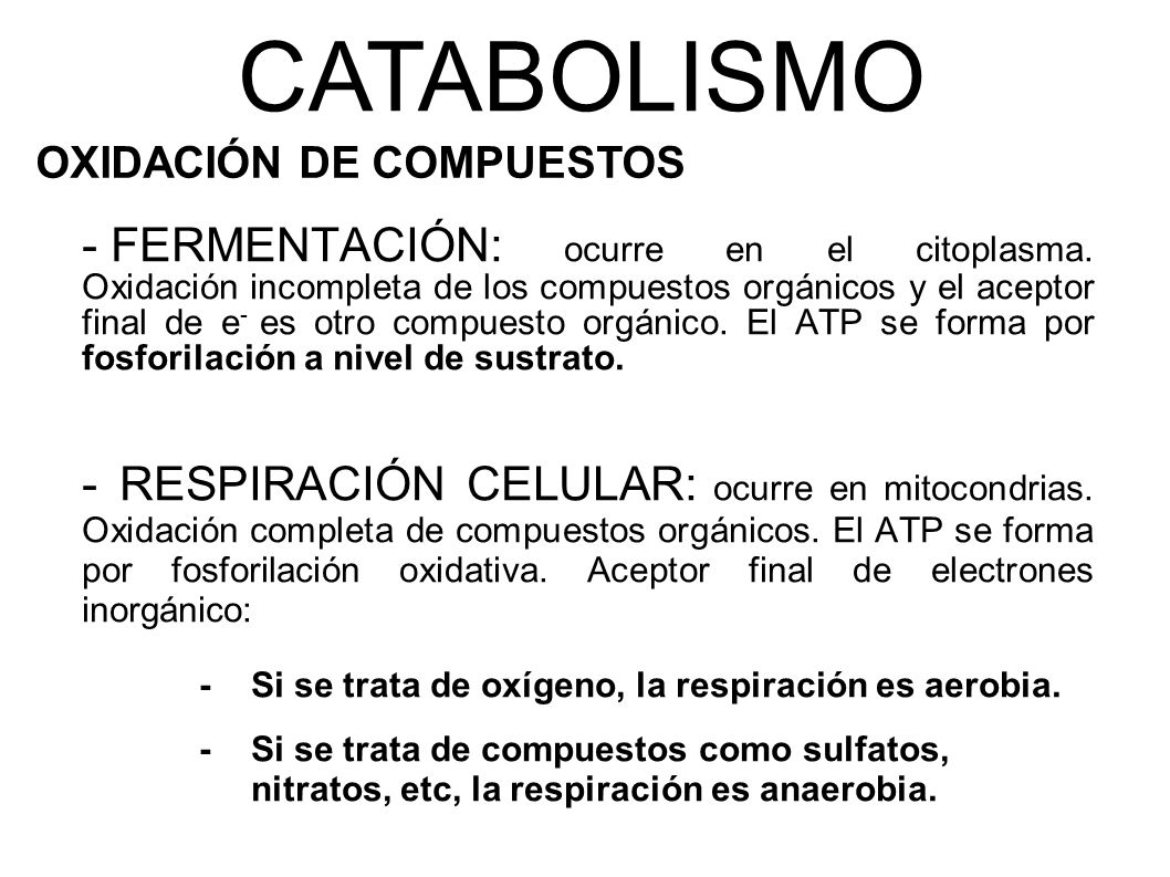 CATABOLISMO - Si se trata de oxígeno, la respiración es aerobia.