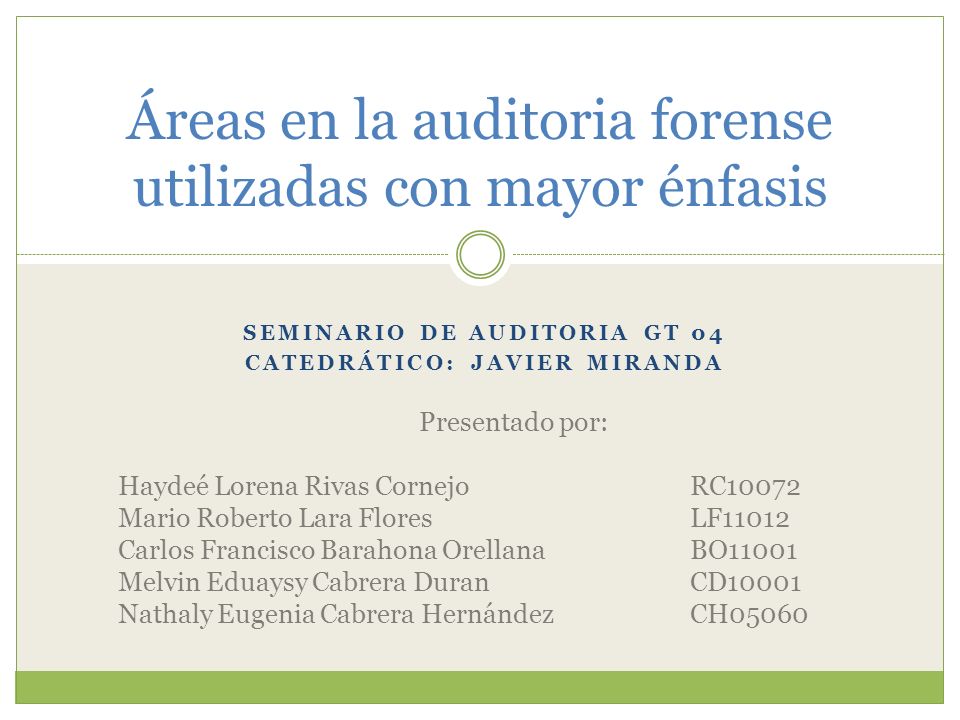 Áreas en la auditoria forense utilizadas con mayor énfasis
