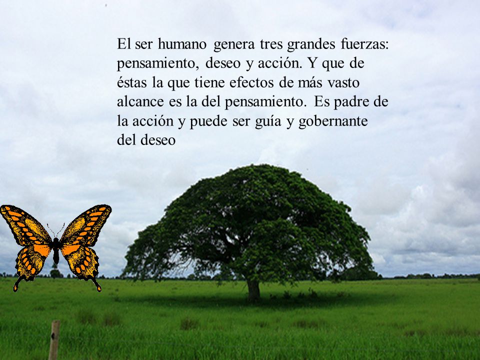 El ser humano genera tres grandes fuerzas: pensamiento, deseo y acción