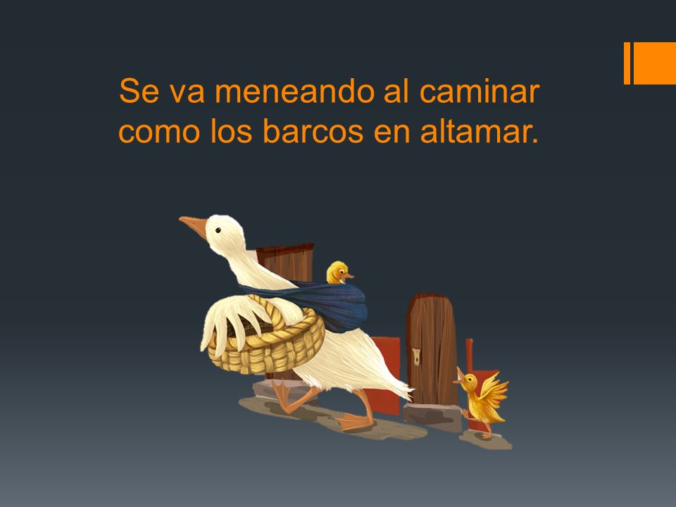Se va meneando al caminar como los barcos en altamar.