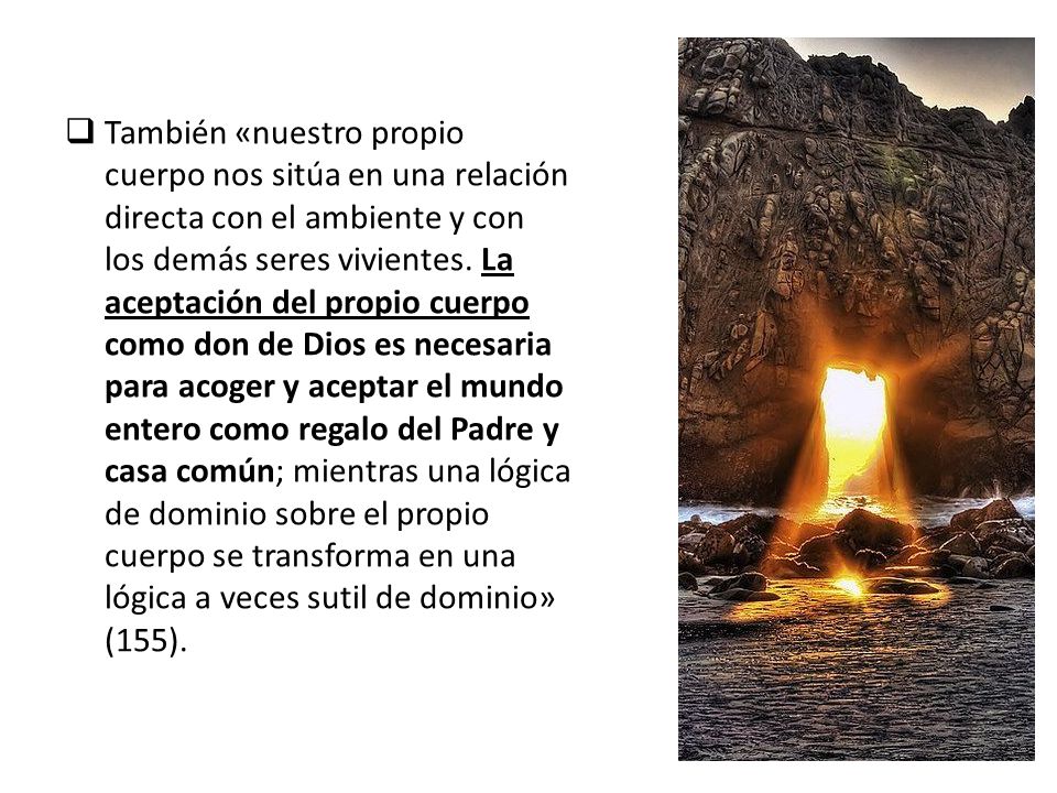 También «nuestro propio cuerpo nos sitúa en una relación directa con el ambiente y con los demás seres vivientes.