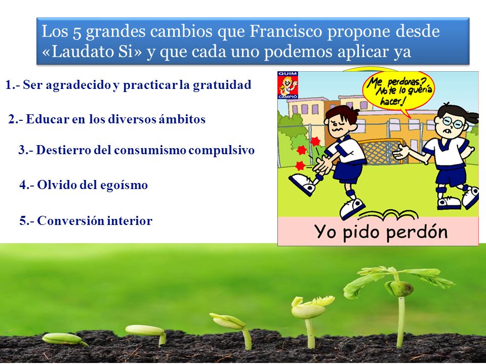 Los 5 grandes cambios que Francisco propone desde «Laudato Si» y que cada uno podemos aplicar ya