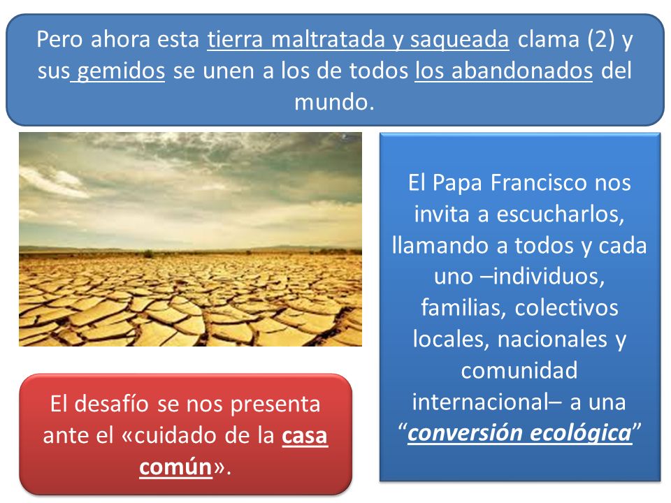 El desafío se nos presenta ante el «cuidado de la casa común».