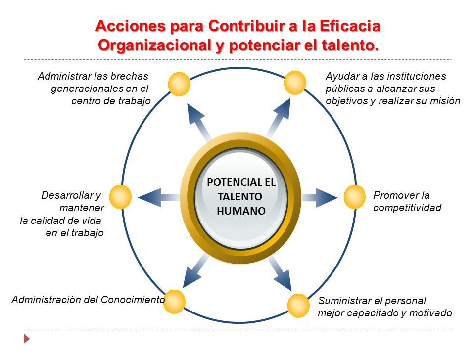 Acciones para Contribuir a la Eficacia Organizacional y potenciar el talento.