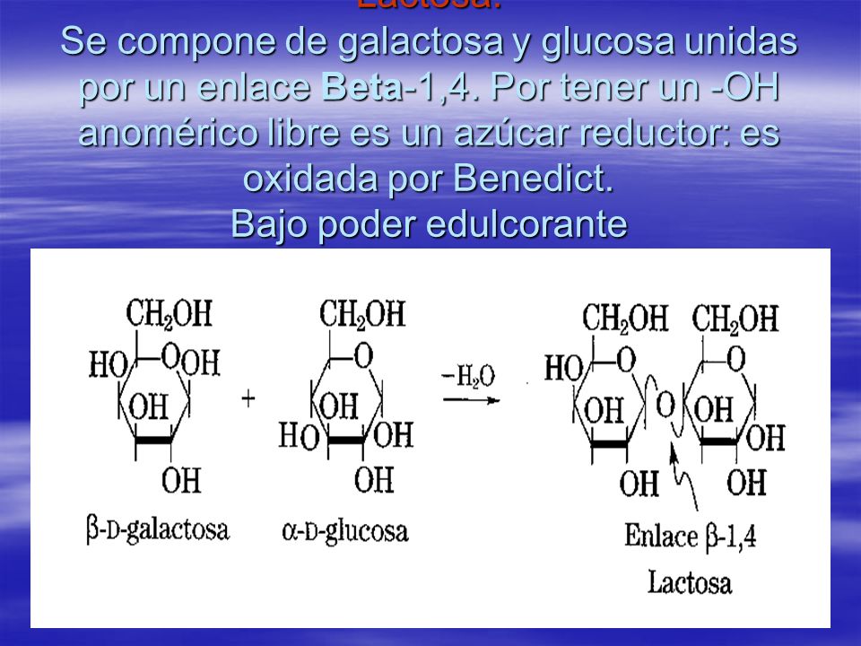 Lactosa: Se compone de galactosa y glucosa unidas por un enlace Beta-1,4.