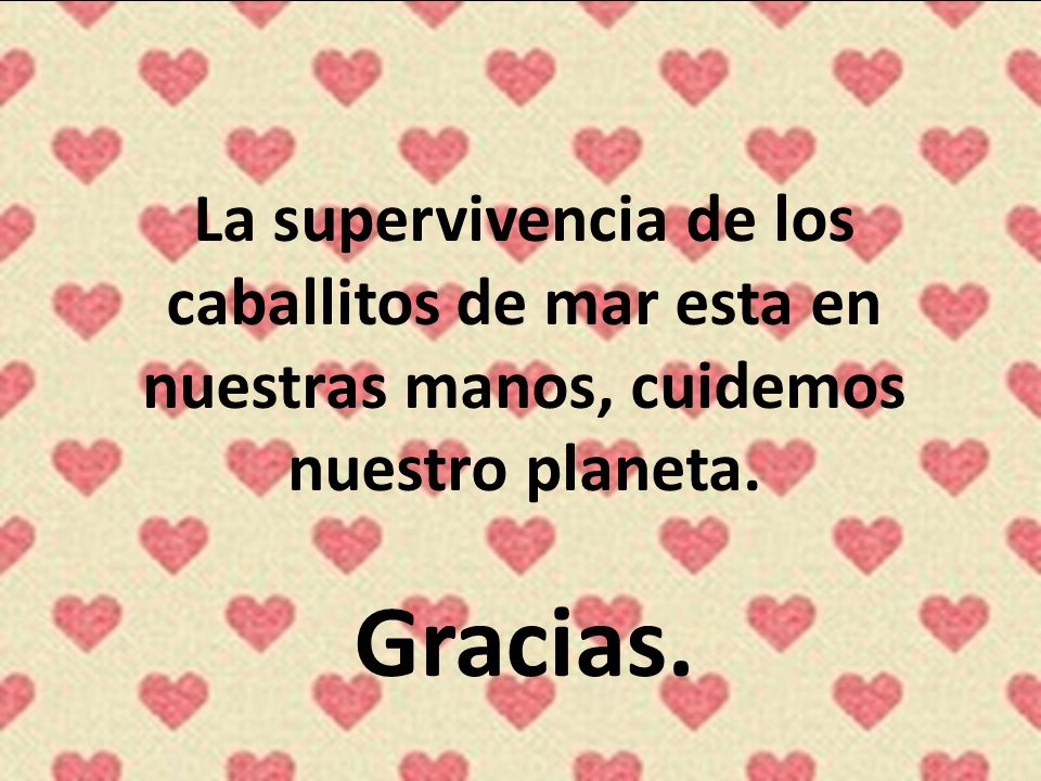 La supervivencia de los caballitos de mar esta en nuestras manos, cuidemos nuestro planeta. Gracias.