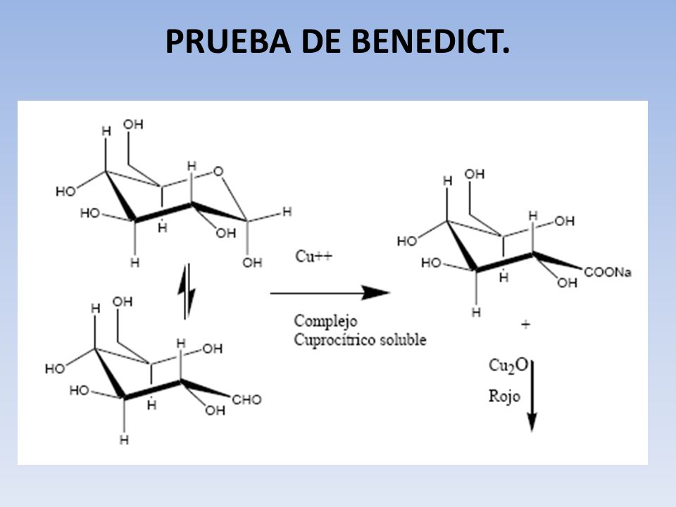 PRUEBA DE BENEDICT.